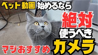 猫を可愛くそして手軽に撮影出来る！そんな万能カメラを見つけました！【ブリティッシュショートヘア、スコティッシュフォールド】 by 今日も  ねこ曜日 235 views 1 month ago 9 minutes, 50 seconds