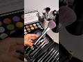 This 29-Piece Brush Set is EVERYTHING!
