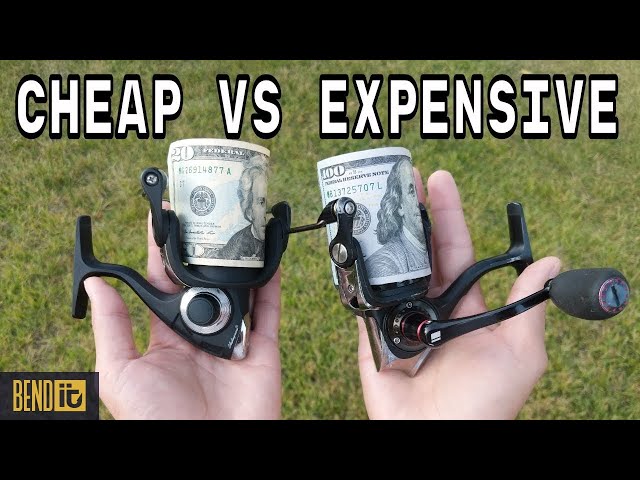 The Difference Between CHEAP and EXPENSIVE Fishing Reels- Explained 