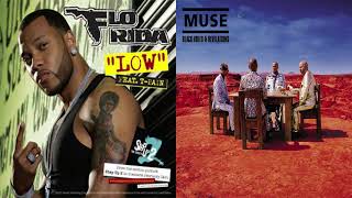 Supermive Bottom Jeans Muse X Flo Rida