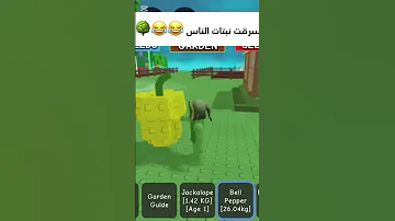 مقطع السرقه كامل في القناة روحوا شوفوه Roblox روبلوكس Growagarden Robloxedit Robloxshorts 