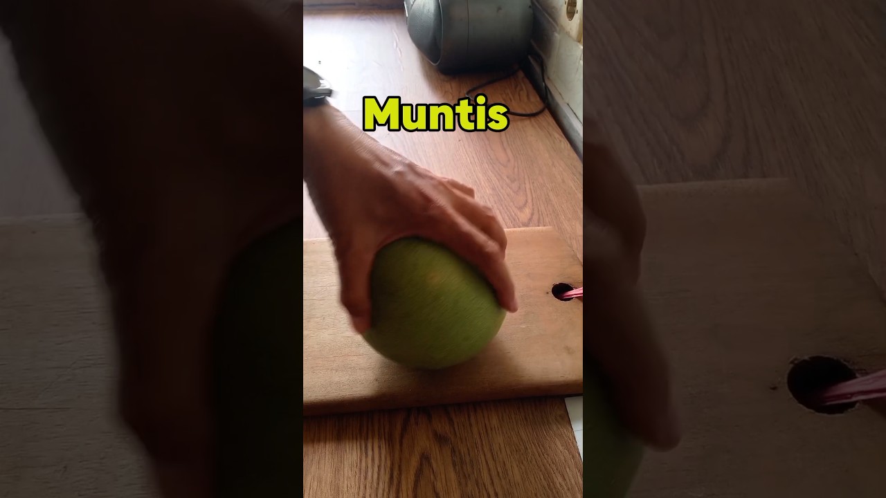 enaknya jeruk Bali seimbang dengan manfaatnya untuk kesehatan