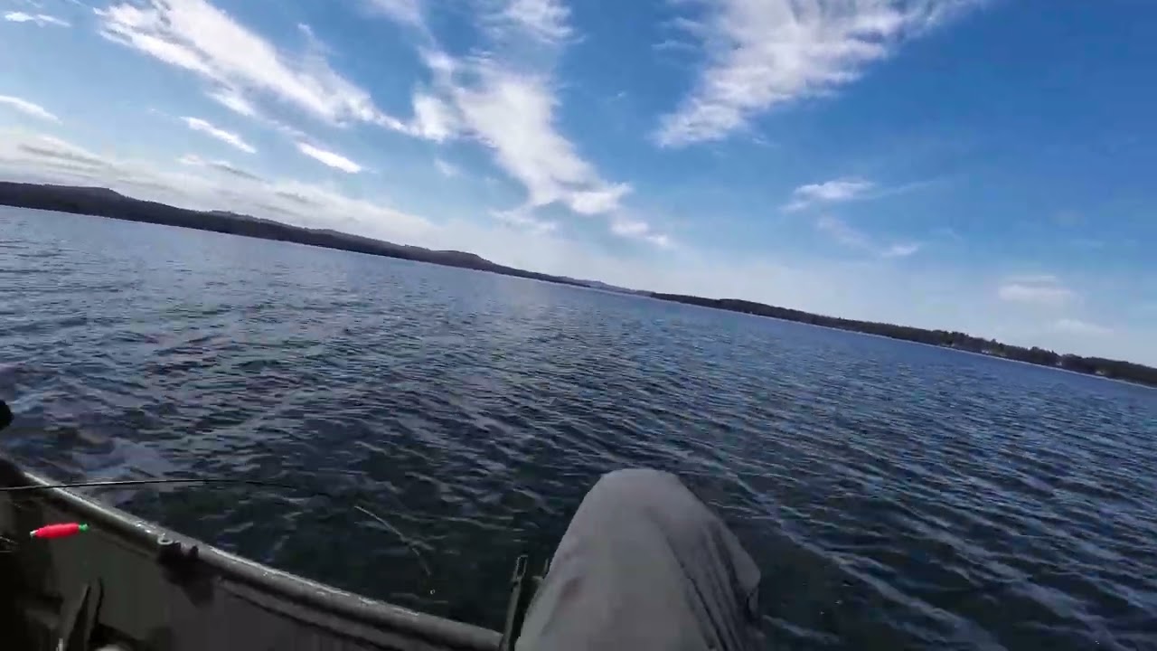 1236 Alumacraft 8 hp Tohatsu