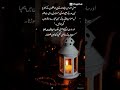 Allah’s Mercy Never Leaves You #allahsmercy #peacefulheart #islamicreminders  #trustallah #wisdom