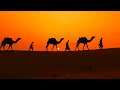  no copyright cameleers camel drivers at sunset thar desert on sunset jaisalmer rajasthan india