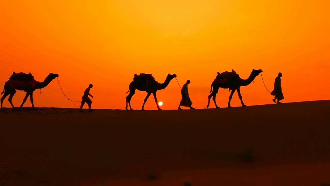 ⚡️ No Copyright cameleers camel drivers at sunset thar desert on sunset jaisalmer rajasthan india