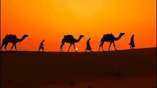 ⚡️ No Copyright cameleers camel drivers at sunset thar desert on sunset jaisalmer rajasthan india
