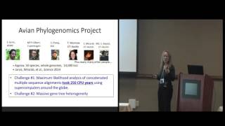 Advancing Genome-scale Phylogenomic Analysis - Tandy Warnow Net Worth