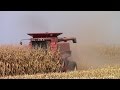 Case IH 2188 Axial-Flow Combine Harvesting Corn