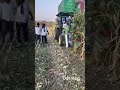 Boslead 2 rows silage and corn harvester 2 in 1 combine machine testing by customer. #silage #corn