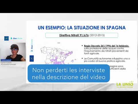 Video: Due Tendenze In Una