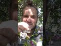 Медицинский спирт дегустация алкоголь Shorts Медицинский спирт дегустация алкоголь Shorts