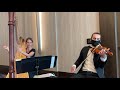 A Million Dreams Violin and Harp Duo ~ Columbus Musicians, LLC