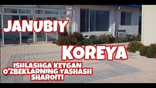 KOREYADAGI O'ZBEKLARNING YASHASH SHAROITI QANDAY?