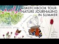 Nature Journal Sketchbook Tour (July 2020)