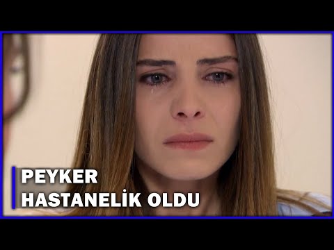 Peyker Hastanelik Oldu! - Aşk-ı Memnu 51.Bölüm