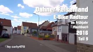 E-bike Tour im Dahner Felsenland Fischbach Frühjahr 2016 T9