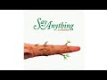 Say Anything - Is a Real Boy (Full Album)