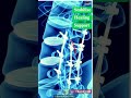 Spinal Fixation Systems #spinalinjury #anatomyinhindi #titanium