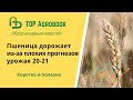 Пшеница дорожает из-за плохих прогнозов урожая 20-21. TOP Agrobook: обзор аграрных новостей