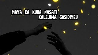 Maya Ka Kura Nasati Kalejima Gasidiyeu_ Lyrics video Slowed ❣️(bartika eam Rai)