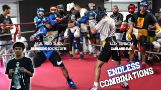 SHARP! Amateur Boxers Make SPARKS FLY In Technical Sparring!