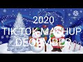 Tiktok Mashup December 🤶🤶(Not Clean)2020☃️☃️🥳