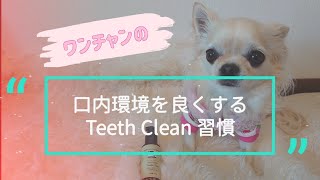 口内環境をよくする歯磨きTeethClean