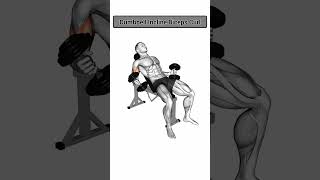 Best biceps peek workout #biceps #fitness #andrast #ronniecoleman
