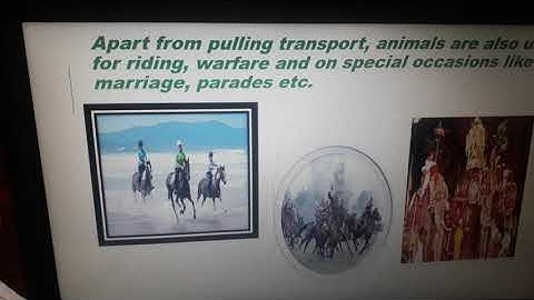 Class 4 EVS CHAP-19 PART 1(TRAVELLING TIME)