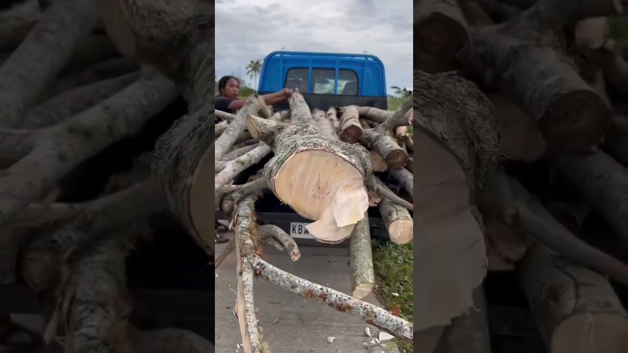 Karga na nato mga idol