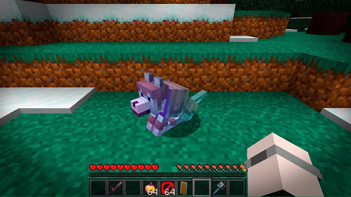 ESSE E O PET MAIS FORTE DO MINECRAFT!