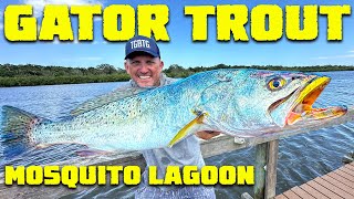 Download Lagu Gator Trout {Vang Schoon Koken} Muggen Lagune MP3 Download Lagu Gator Trout {Vang Schoon Koken} Muggen Lagune MP3