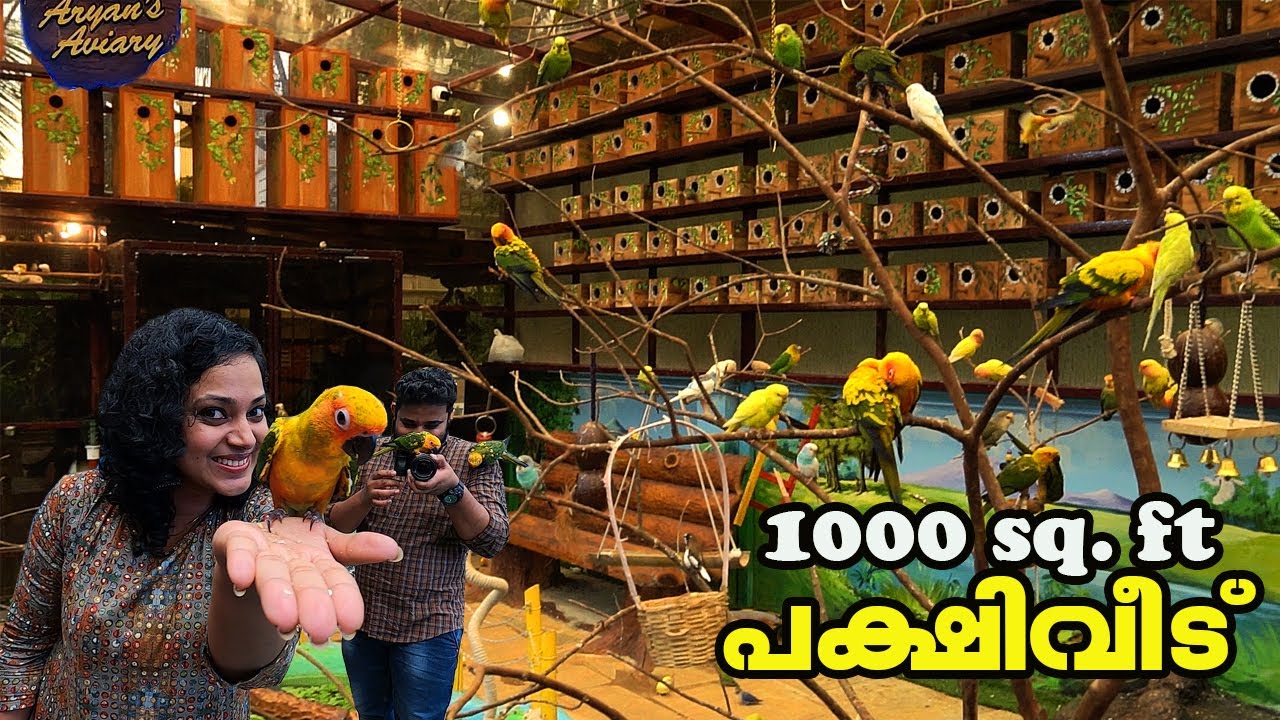 വീട്ടുമുറ്റത്തൊരു കൂറ്റൻ പക്ഷിവീട്!!! | Biggest Bird House in Kerala |Come on everybody