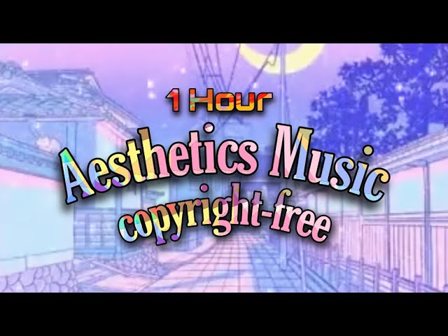 1 Hour of Aesthetic Music No Copyright class=