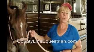 County Line Equestrian Horse Boarding Hutto Texas