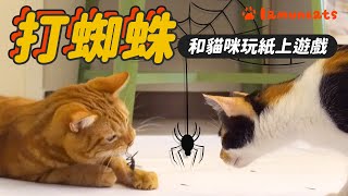 Draw spider with cats, Will cats be fooled?┃LAMUNCATS ♢