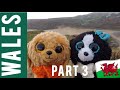 Beanie boo coconut and tamoo  trip to wales  part 3