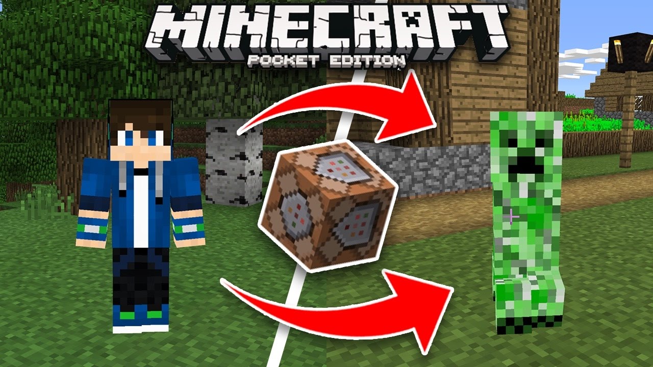 How to Turn Into Any Mob in Minecraft Using Command Blocks ...