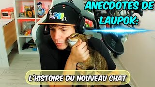 L'HISTOIRE DU NOUVEAU CHAT DE LAUPOK || Les Anecdotes De Laupok