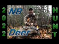 New Brunswick Deer Hunt 2022