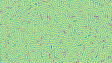 reaction-diffusion experiment pr test 07 prs 424 - blue yellow zippers