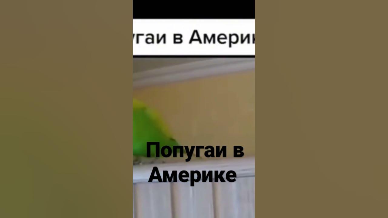 пусть джуси на тусе - YouTube