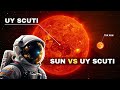 Why UY Scuti Makes Our Sun Look Tiny