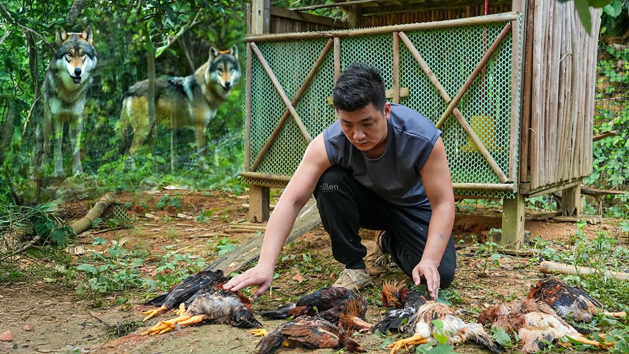Young CEO Faces WOLVES After Surviving Plane Crash