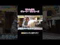 【超モフモフ】甘えん坊な大型犬に癒される…🐕💛#グレートピレニーズ #大型犬 #いぬ #犬