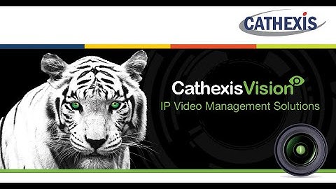 Using CathexisVision create a new camera panel layout