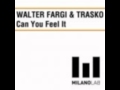 Can You Feel It - Fargi and Trasko  (Manuel Deep Club Mix).wmv
