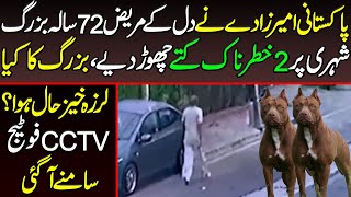 Pakistani Bazurg Wakeel Ki CCTV Viral- Karachi CCTV Viral Footage Of Dogs- People Watching CCTV