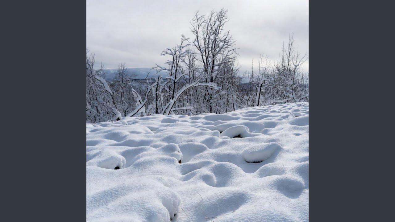 Gentle Amethyst Dragon